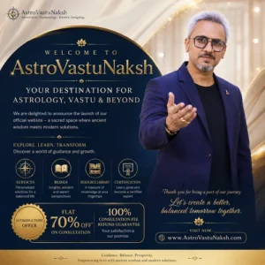 AVN launch banner 1